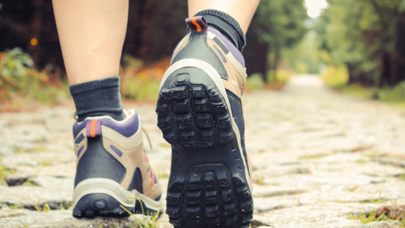 Cover Image for Connecticut Man Dies After Collapsing While Hiking in White Mountains